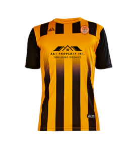 Tigers shirt